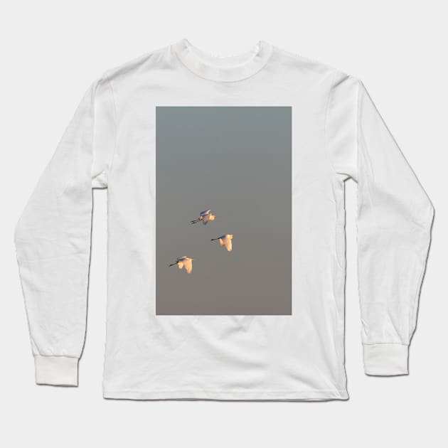 Egret Sunrise Long Sleeve T-Shirt by Jim Cumming